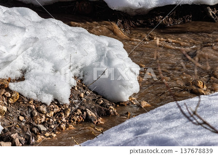 Vigorous muddy stream rushes past melting snow banks. Early spring's dynamic thaw reveals fresh earth and sparkling water. Nature awakens Vigorous muddy stream rushes past melting snow banks. Early spring's dynamic thaw reveals fresh earth and sparkling water. Nature awakens 137678839