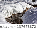 Glistening stream tumbles through pristine melting snowbanks, signaling early spring's grand awakening. Nature's vibrant rebirth as winter's icy embrace recedes 137678872