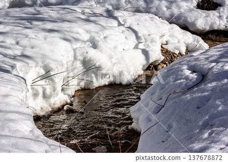 Glistening stream tumbles through pristine melting snowbanks, signaling early spring's grand awakening. Nature's vibrant rebirth as winter's icy embrace recedes Glistening stream tumbles through pristine melting snowbanks, signaling early spring's grand awakening. Nature's vibrant rebirth as winter's icy embrace recedes 137678872