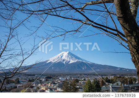 [Yamanashi] Mount Fuji as seen from Arakurayama Sengen Park 137678916
