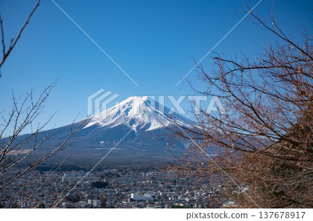 【山梨】從新倉山淺間公園眺望富士山 【山梨】從新倉山淺間公園眺望富士山 137678917