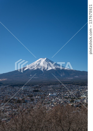 [Yamanashi] Mount Fuji as seen from Arakurayama Sengen Park 137678921