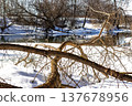 Melting snow reveals early spring river. Bare branches frame the icy banks and tranquil waters under a sunny March sky 137678956