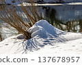 Melting snow mound near bare riverside bushes in early spring, reflecting soft sunlight on the water's surface 137678957