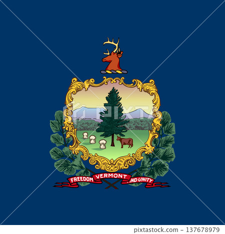 Vermont state square flag. Part of The United States of America. Clean design for print, web, or educational use. Vector illustration. 137678979
