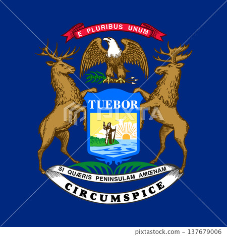 Michigan state square flag. Part of The United States of America. Clean design for print, web, or educational use. Vector illustration. Michigan state square flag. Part of The United States of America. Clean design for print, web, or educational use. Vector illustration. 137679006