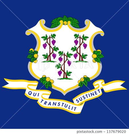 Connecticut state square flag. Part of The United States of America. Clean design for print, web, or educational use. Vector illustration. Connecticut state square flag. Part of The United States of America. Clean design for print, web, or educational use. Vector illustration. 137679020