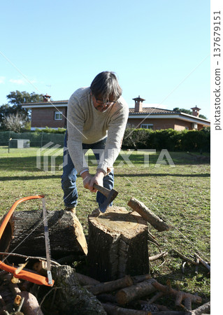 Outdoor Wood Cutting Activity in Backyard Outdoor Wood Cutting Activity in Backyard 137679151