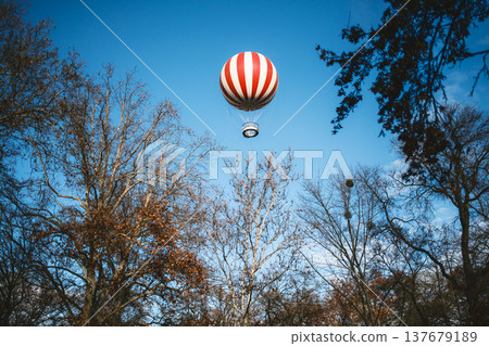 Striped Hot Air Balloon Above Trees 137679189