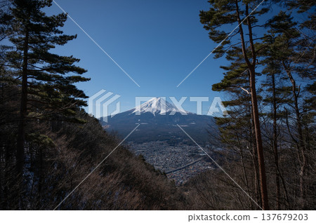 【山梨】從新倉山淺間公園眺望富士山 【山梨】從新倉山淺間公園眺望富士山 137679203
