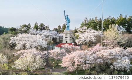 Aerial view of cherry blossoms in full bloom at Icho Park in Oirase Town, Aomori Prefecture. Aerial view of cherry blossoms in full bloom at Icho Park in Oirase Town, Aomori Prefecture. 137679420
