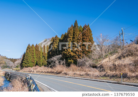 National Route 8 passing through Omi-Shiotsu in Oku-Biwako, Nagahama City, Shiga Prefecture 137679550