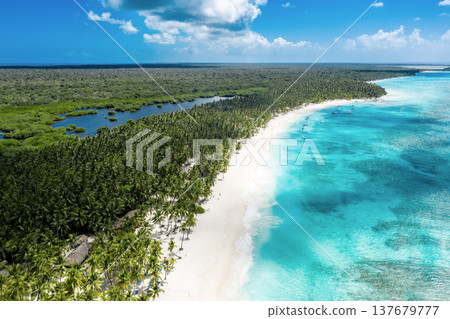Tropical Caribbean beach from above, Dominican Republic, summer background 137679777