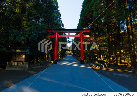 鹿兒島縣霧島市的秋天:霧島神社的第二座鳥居掩映在秋葉之中。 鹿兒島縣霧島市的秋天:霧島神社的第二座鳥居掩映在秋葉之中。 137680069