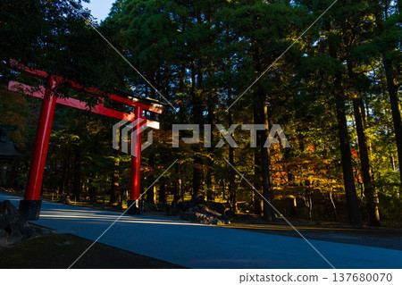Autumn in Kirishima City, Kagoshima Prefecture: Kirishima Shrine with its autumn foliage, including the second torii gate and the approach to the shrine. Autumn in Kirishima City, Kagoshima Prefecture: Kirishima Shrine with its autumn foliage, including the second torii gate and the approach to the shrine. 137680070