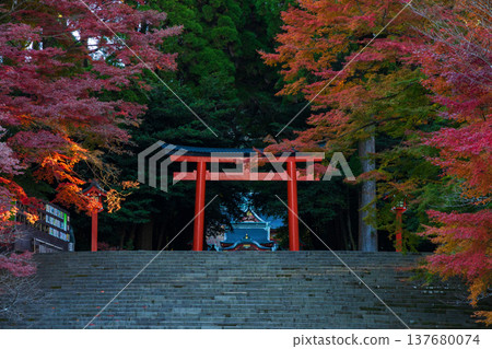 鹿兒島縣霧島市的秋天:霧島神社的秋葉,包括第三座鳥居和通往神社的道路。 鹿兒島縣霧島市的秋天:霧島神社的秋葉,包括第三座鳥居和通往神社的道路。 137680074