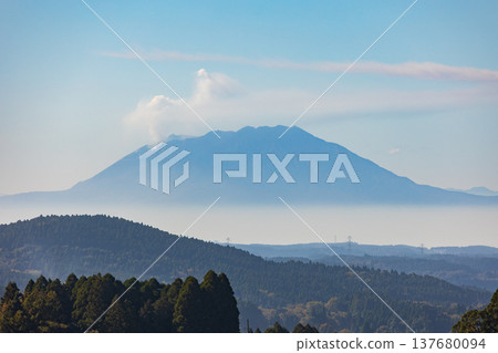 Autumn in Kirishima City, Kagoshima Prefecture: A view of Sakurajima from Kirishima Shrine. 137680094