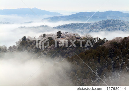 冬季雲海與備中松山城(天空之城)25415 冬季雲海與備中松山城(天空之城)25415 137680444