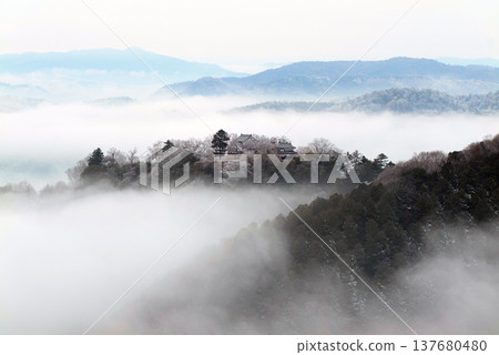 冬季雲海與備中松山城（天空之城）25516 137680480