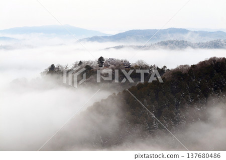 冬季雲海與備中松山城（天空之城）25531 137680486