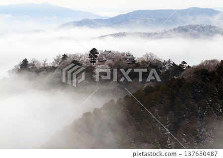 冬季雲海與備中松山城(天空之城)25534 冬季雲海與備中松山城(天空之城)25534 137680487