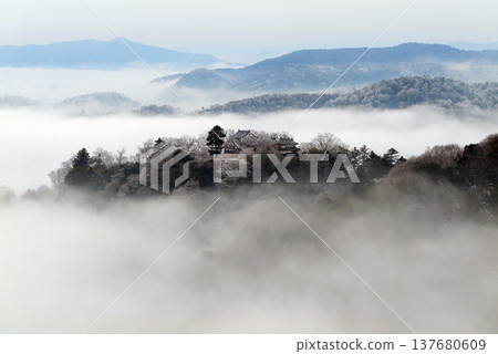 Winter sea of clouds and Bitchu Matsuyama Castle (castle in the sky) 25329 Winter sea of clouds and Bitchu Matsuyama Castle (castle in the sky) 25329 137680609