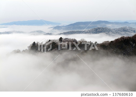 冬季雲海與備中松山城（天空之城）25333 137680610