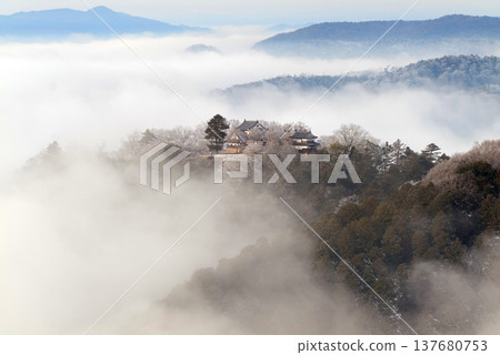 冬季雲海與備中松山城（天空之城）25160 137680753