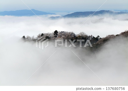 冬日雲海與備中松山城(天空之城)25168 冬日雲海與備中松山城(天空之城)25168 137680756