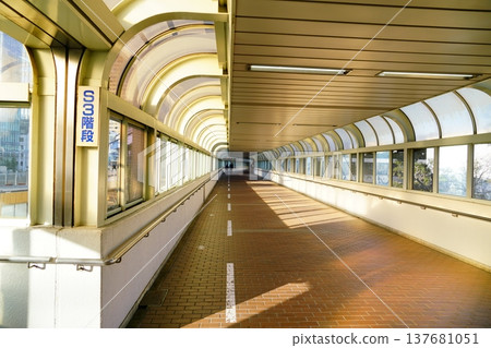 東京的人行道 東京的人行道 137681051