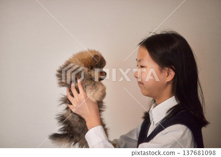 A middle school girl playing with a puppy in her living room. 137681098