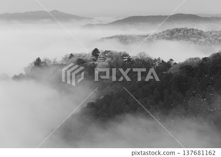 冬季雲海與備中松山城（天空之城）25125 137681162