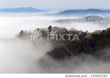 冬季雲海與備中松山城（天空之城）25135 137681167