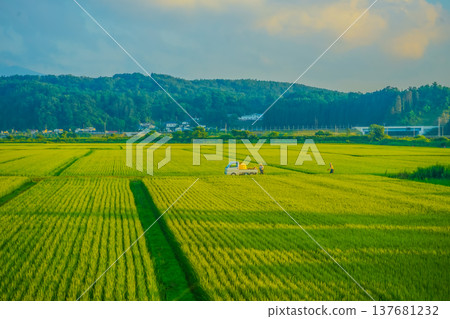 Rural scenery of Aomori Rural scenery of Aomori 137681232