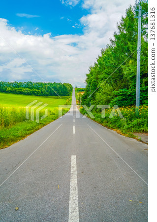 北海道的漫漫長路與自然 北海道的漫漫長路與自然 137681316