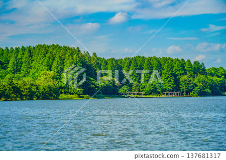 水本公園森林和藍天 水本公園森林和藍天 137681317