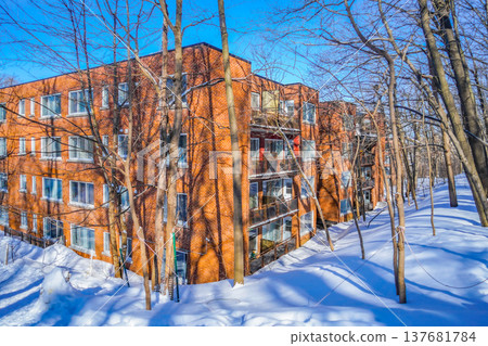 Apartment in the woods Apartment in the woods 137681784