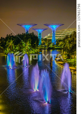 濱海灣花園夜景 137681798
