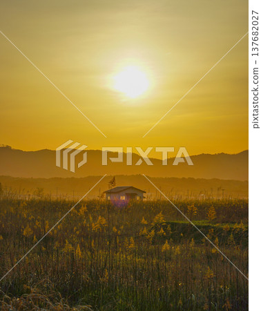 Susumu和太陽和房子 Susumu和太陽和房子 137682027