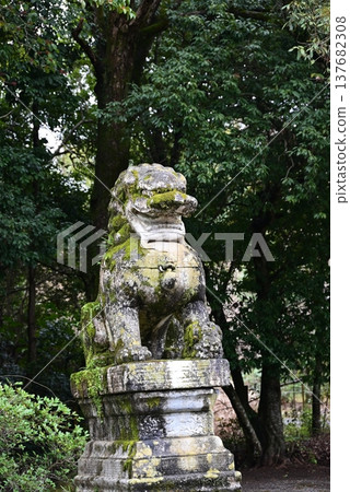 Moss-covered stone guardian lion statues Moss-covered stone guardian lion statues 137682308