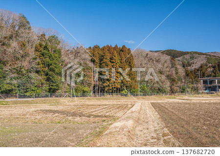 Rural landscape of Oku-Biwako, Omi-Shiotsu, Nagahama City, Shiga Prefecture Rural landscape of Oku-Biwako, Omi-Shiotsu, Nagahama City, Shiga Prefecture 137682720