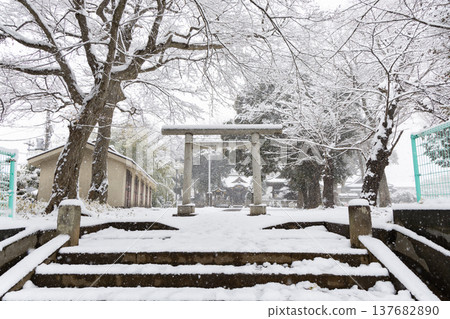 Snowy scenery at Kasuga Shrine <Kasuga-cho, Nerima-ku, Tokyo> Snowy scenery at Kasuga Shrine <Kasuga-cho, Nerima-ku, Tokyo> 137682890