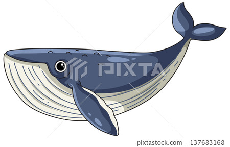 Cute Blue Whale Vector Illustration Isolated on White Background 137683168