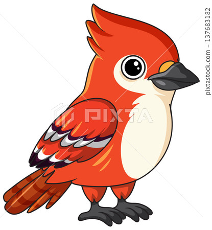 Cute Red Cardinal Bird Vector Illustration on White Background Cute Red Cardinal Bird Vector Illustration on White Background 137683182
