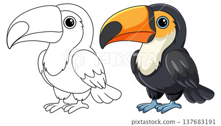 Cute Toco Toucan Cartoon Character in Color and Line Art Style Cute Toco Toucan Cartoon Character in Color and Line Art Style 137683191
