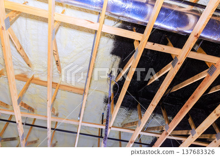Residential ceiling construction with wooden beams, sprayed painted black over foam insulation layer. 137683326