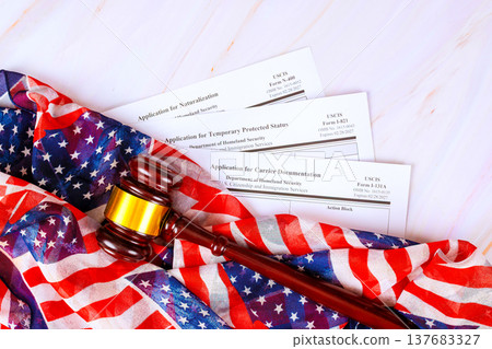 Application forms for immigration processes on an American flag with laws gavel placed 137683327