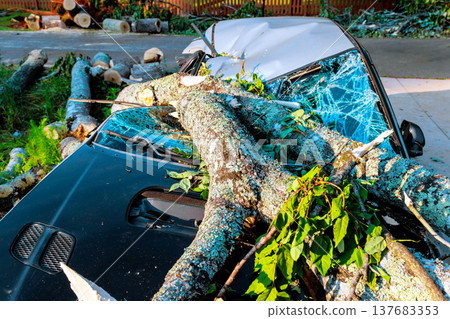 Tree falls on car during storm causing damage in residential area near city 137683353