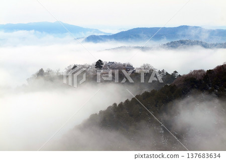 冬日雲海與備中松山城（天空之城）25548 137683634