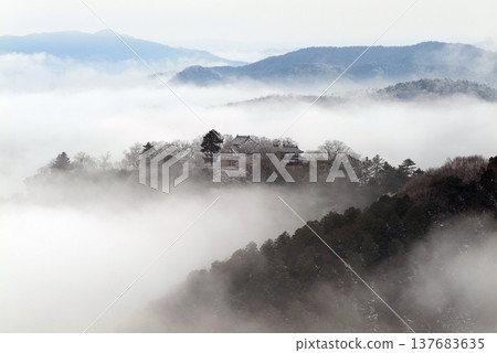 Winter sea of clouds and Bitchu Matsuyama Castle (castle in the sky) 25550 Winter sea of clouds and Bitchu Matsuyama Castle (castle in the sky) 25550 137683635